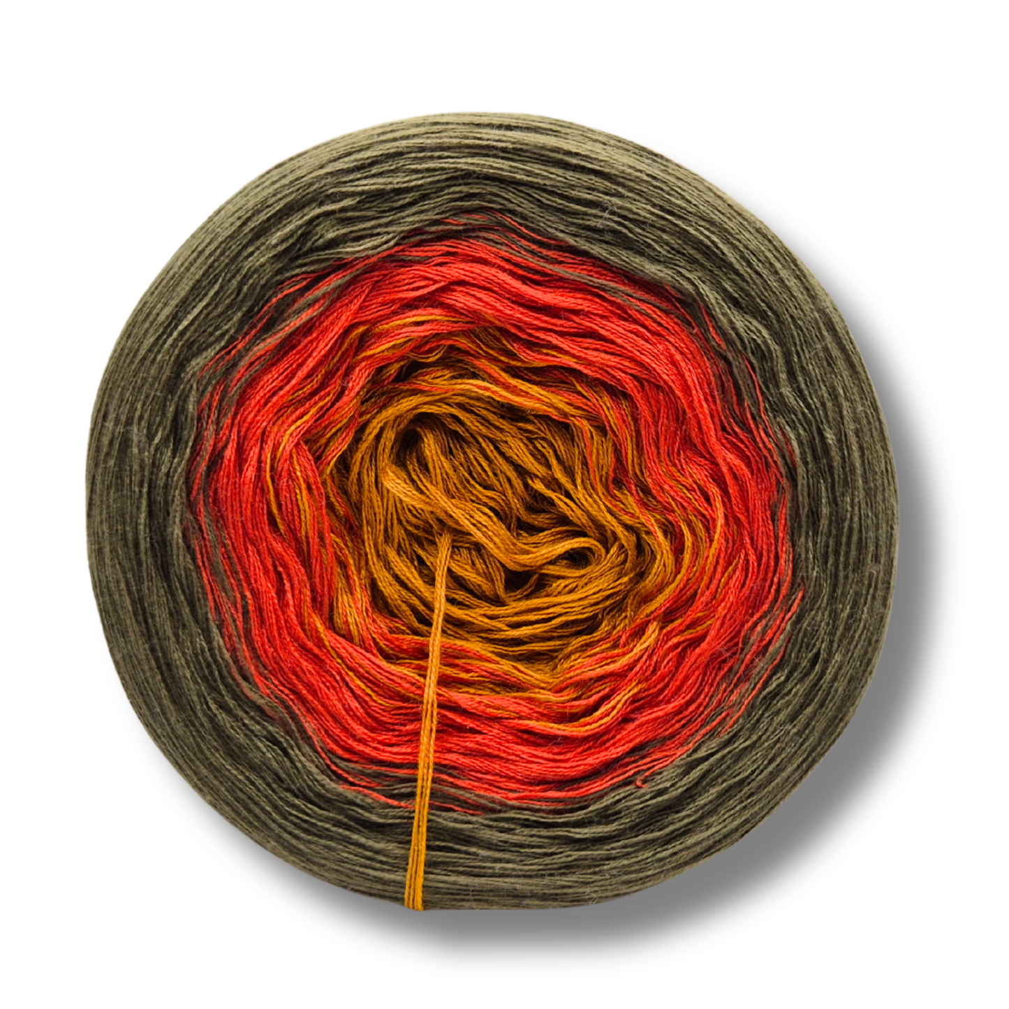 Bobbel Basilisk Auge